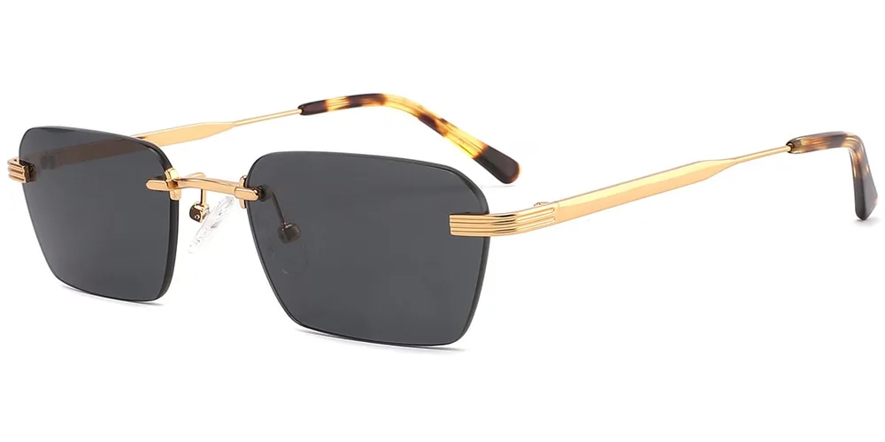 SG9365 — C2