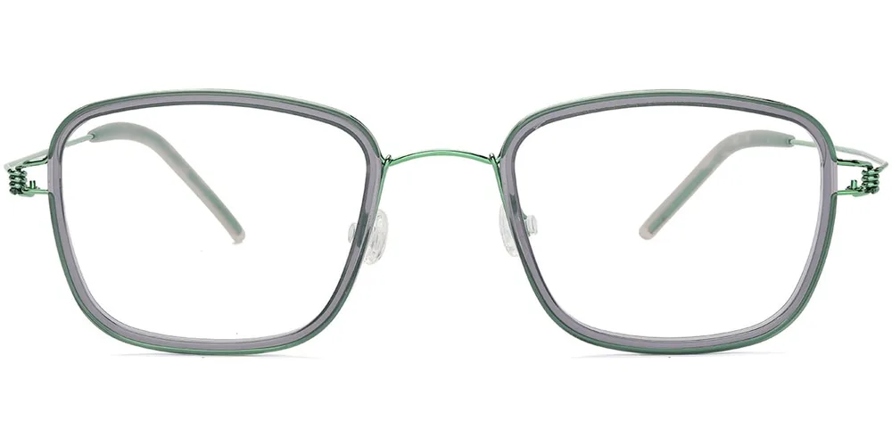 F8800 — Overview